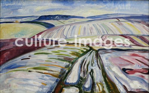 Edvard Munch, Feld im Schnee