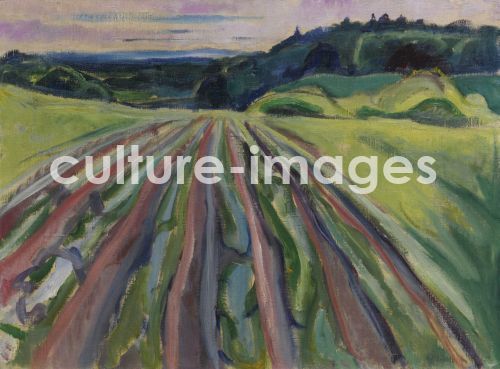 Edvard Munch, Ploughed field