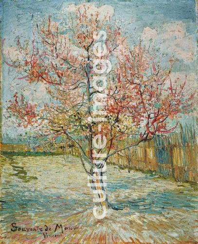 Vincent van Gogh, Pink peach trees ("Souvenir de Mauve")