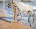 Joaquín Sorolla y Bastida, Bathing of a Horse